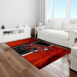 mlb baltimore orioles baseball team logo rectangle area light room bo13