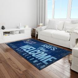 mlb tampa bay rays baseball team logo rectangle area light room tbr12