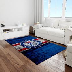 nba charlotte hornets basketball legend team logo rectangle area light room ch28
