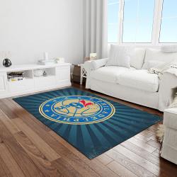 nba charlotte hornets basketball legend team logo rectangle area light room ch52