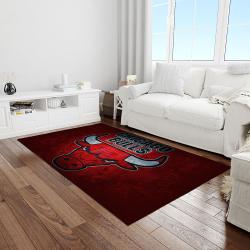 nba chicago bulls basketball legend team logo rectangle area light room cb15