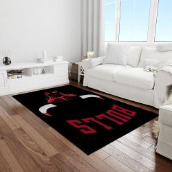 nba chicago bulls basketball legend team logo rectangle area light room cb16