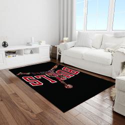nba chicago bulls basketball legend team logo rectangle area light room cb19