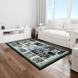 nfl philadelphia eagles football team logo rectangle area rug light room pe29