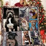 american staffordshire terrier have that boy u quilt at d2489068
