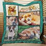 american staffordshire terrier1 quilt blanket a8xco dhc0301544dd d2445092