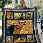 australian cattle dog dog of many colors quilt blanket dhc020120245td d2446925