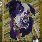 australian shepherd dog d8029 quilt blanket d2447655