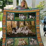 australian shepherd no babe u quilt bz d2488113