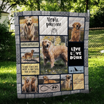 australian shepherd who need u quilt jo d2489274