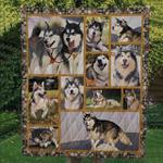 beagle puppies u quilt ho d2488144