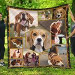 beagle quilt qt197pa quilt d2420102