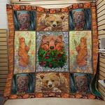 bear quilt v6 d2484082