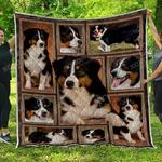 bee be like the bee u quilt ab d2488139
