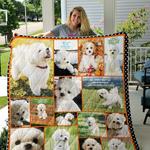 bichon frise quilt blanket d2452678