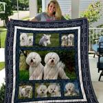 bichon frisxc3xa9 quilt blanket qui3002 d2451605