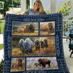 bison jfj quilt we d2488649