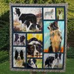 border collie hur quilt bevrnp d2486891