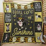 boston terrier quilt tt62 0808 quilt d2420018