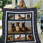 boxer bobobo quilt blanket dhc04011366dd d2481040