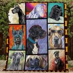 boxer cld180709 quilt blanket d2480476