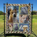 boxer dog 2 dhccna0909 quilt blanket d2411879
