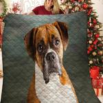 boxer jfj quilt ao d2488096