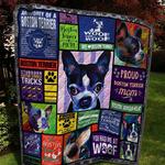 boxer show me the money u quilt dq d2489191
