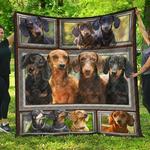 boxer you in my store u quilt mm d2488166