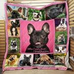 bulldog cl18100122mdq quilt blanket d2480889