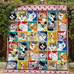 cat cl14100064mdq quilt blanket d2482134