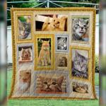 cat li li ly u quilt kb d2489389