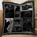 cat lover quilt blanket dhc09121788dd d2447558