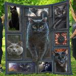 cat ng030801b tbg quilt blanket d2445331