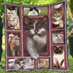 cat ng180703b quilt blanket d2480641