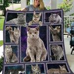 cat skull cat u quilt ya d2488272