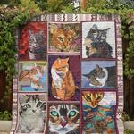 cat vcb quilt derqvg d2485789