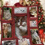 cats beauty kc2909781cl quilt blanket d2414145