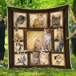 cats lover premium quilt quilt d2419279