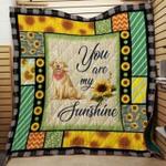 chesapeake bay retriever2 quilt blanket 1p80x dhc0301569dd d2445148
