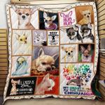 chihuahua ah quilt derqpu d2487178