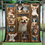 chihuahua cl14100115mdq quilt blanket d2478677