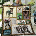 chihuahua cla0810081q quilt blanket d2480066