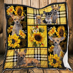 chihuahua every melody is timeless quilt blanket dhc31121826td d2447198