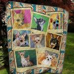 chihuahua p304002 quilt blanket quilt d2415173