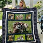 chihuahua quilt blanket qui6004 d2451558