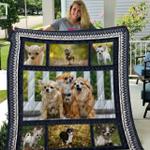 chihuahua quilt blanket qui6007 d2451556