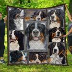 chqdog41008 bernese mountain dog blanket th1609 quilt d2413681