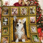 corgi hur quilt zc d2487520