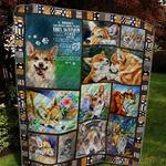 corgi lover ah quilt derqce d2486112